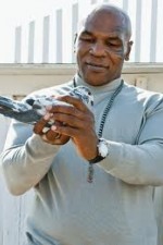 Watch Taking on Tyson 123MovieFree